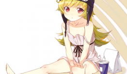 物语系列漫画,跨越时空的青春物语